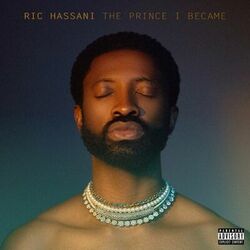 Cover of The Prince I Became