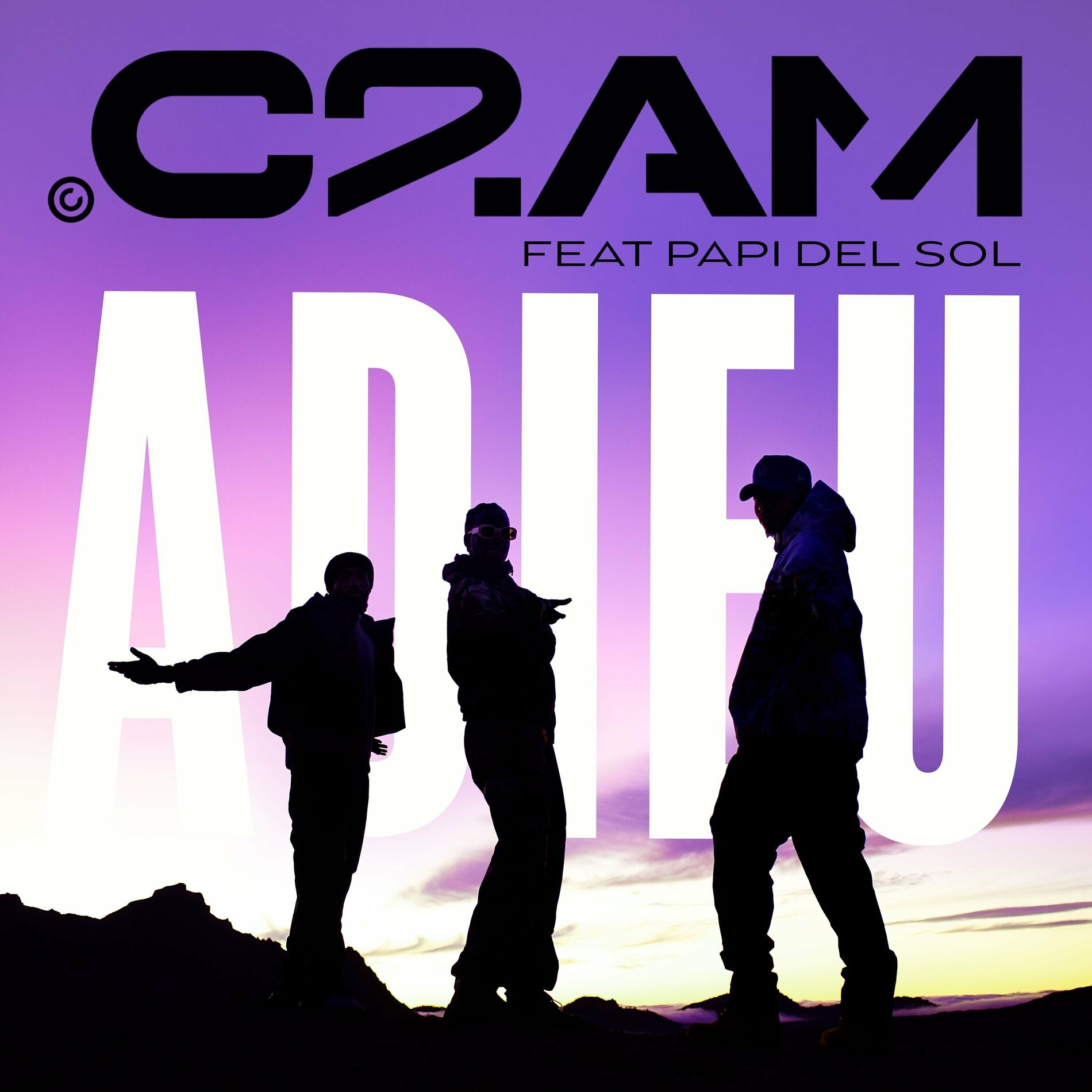 Album cover of Adieu