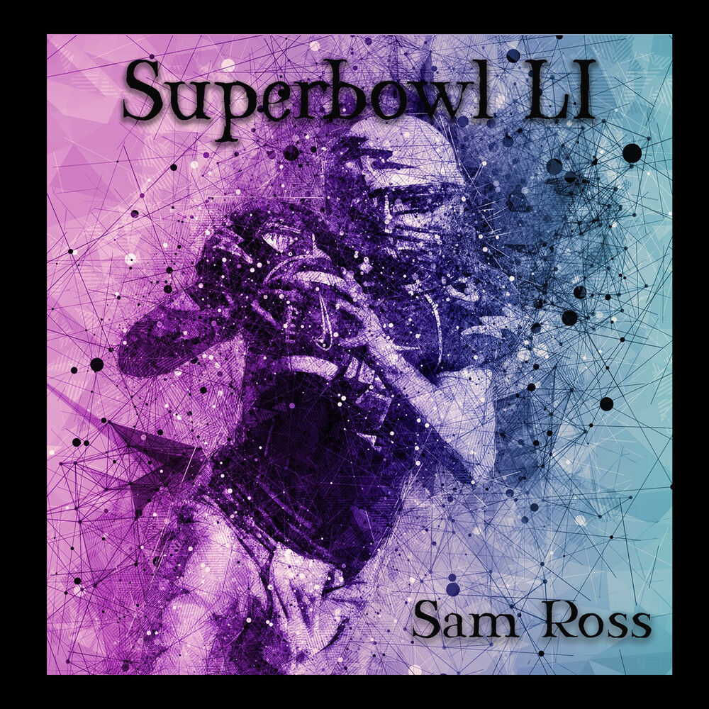 Picture of Superbowl 51