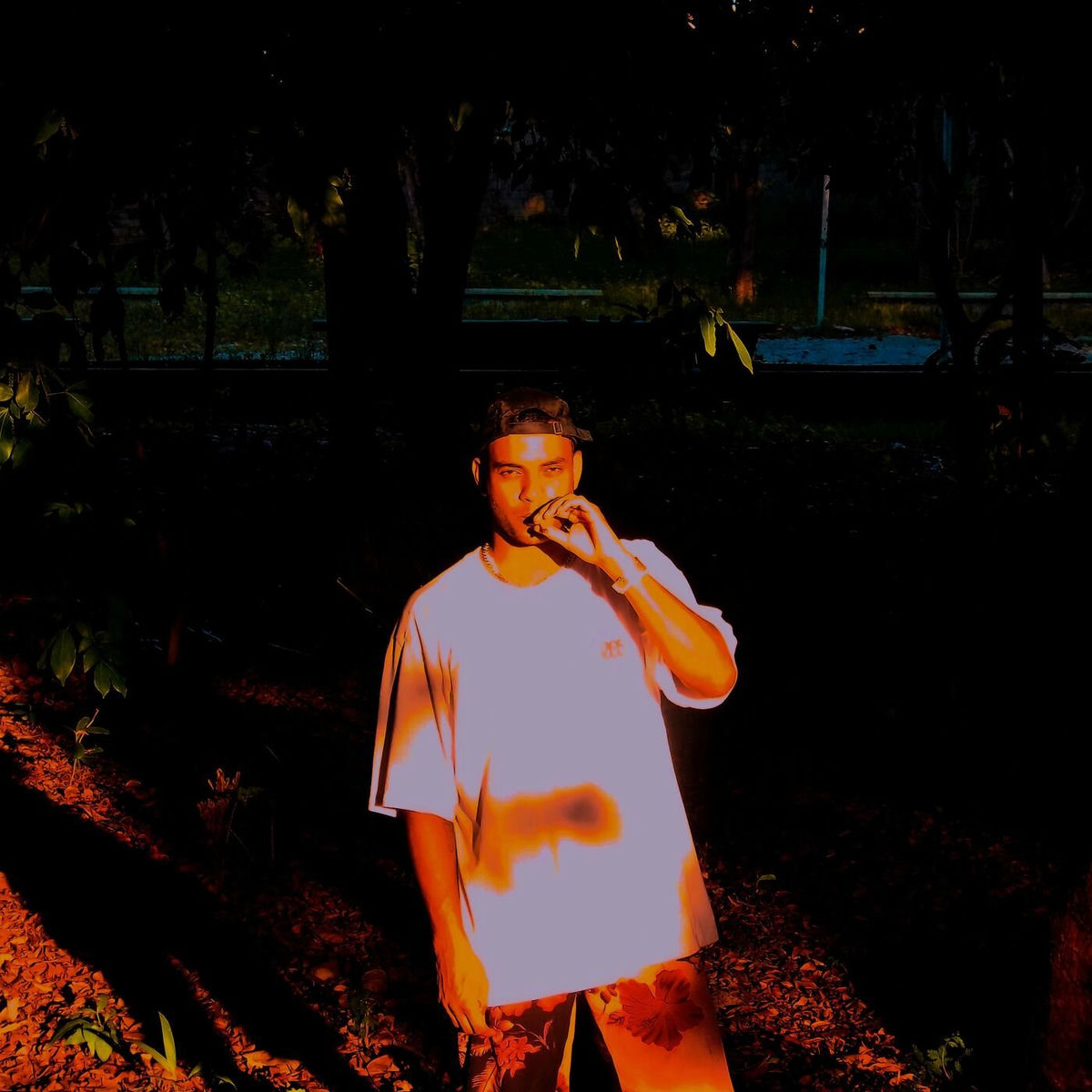 Album cover of Marrom