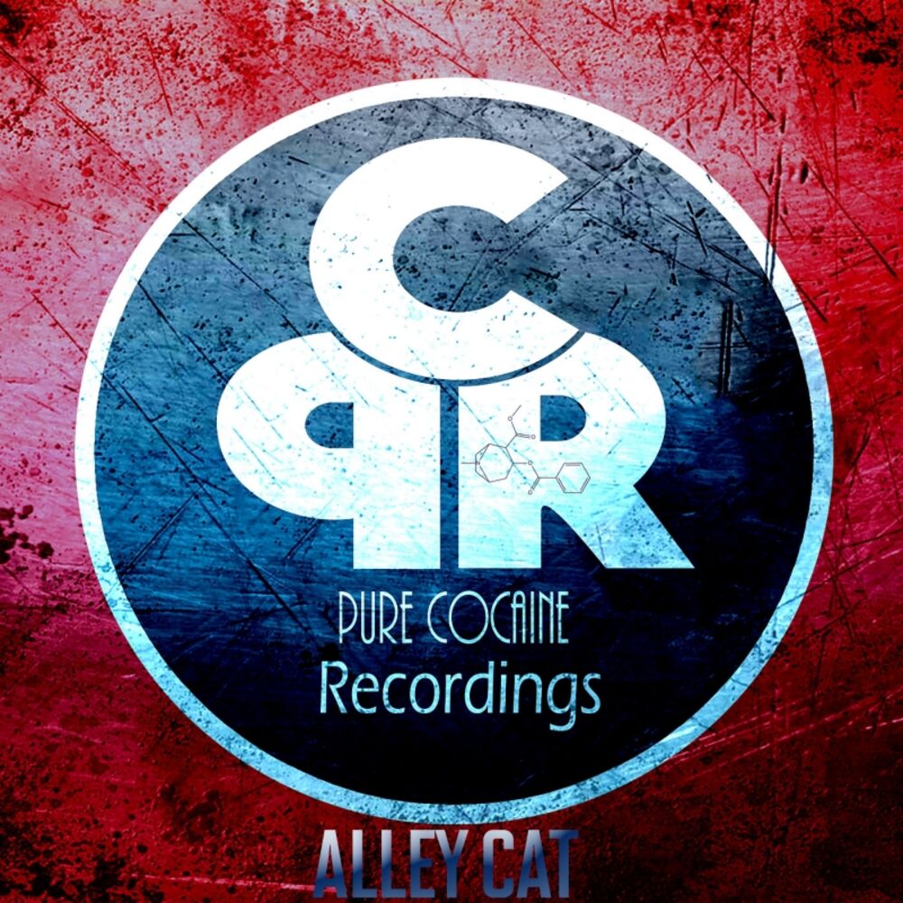 Picture of Alley Cat