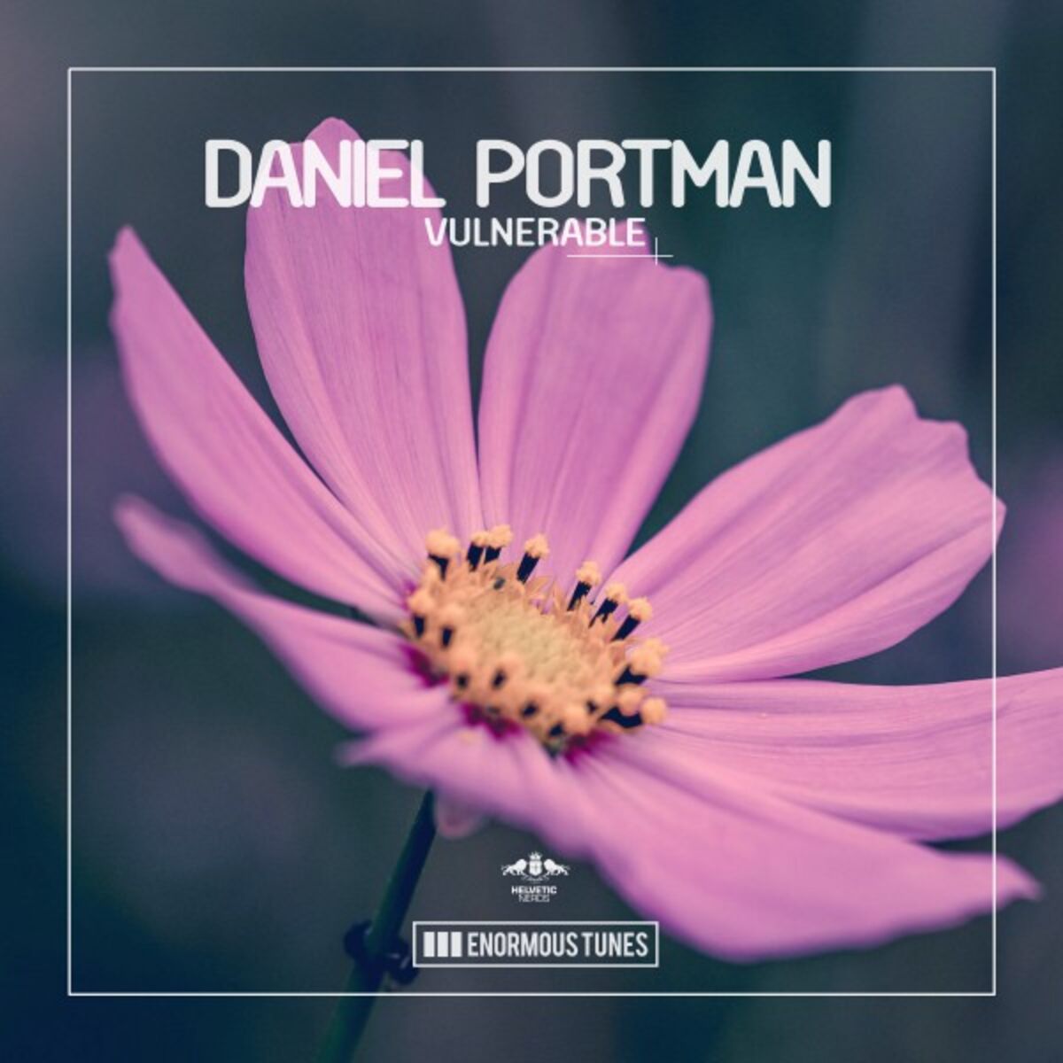Album cover of Vulnerable