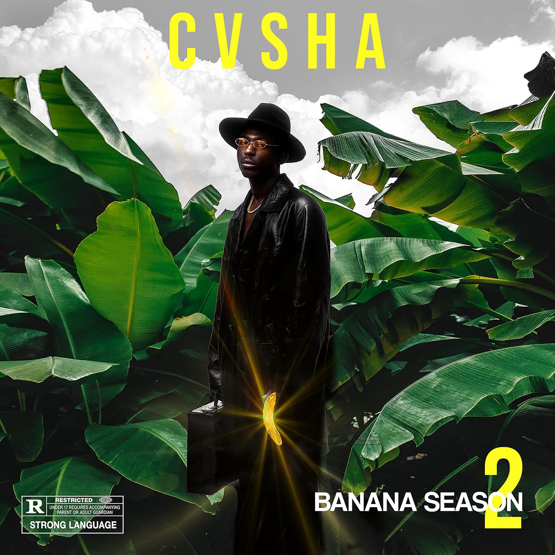 Album cover of Banana Season 2
