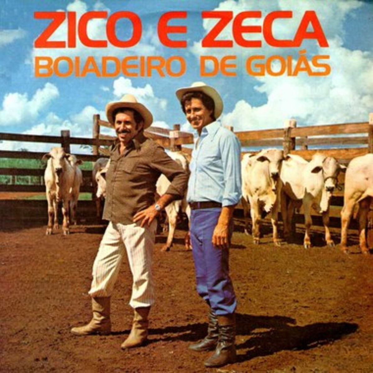 Album cover of Boiadeiro de Goiás