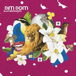 Cover of Dim Dom