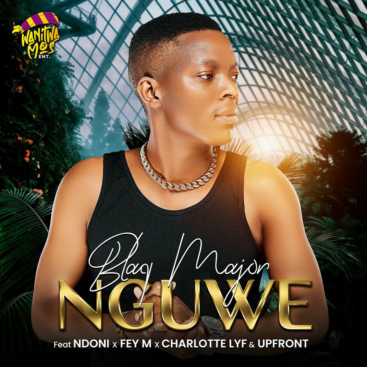 Album cover of Nguwe (feat. Ndoni, Fey M, CHARLOTTE LYF, Upfront)