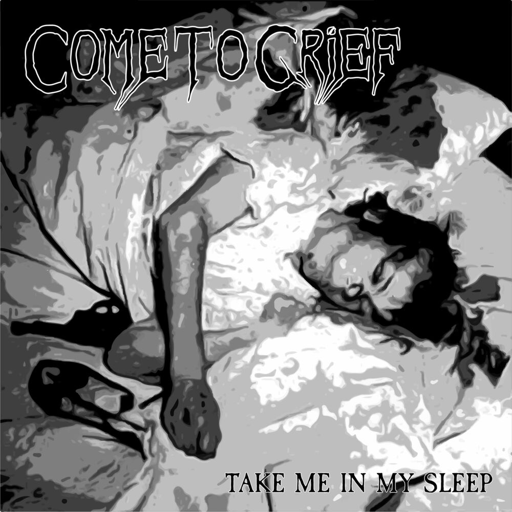 Picture of Take Me in My Sleep