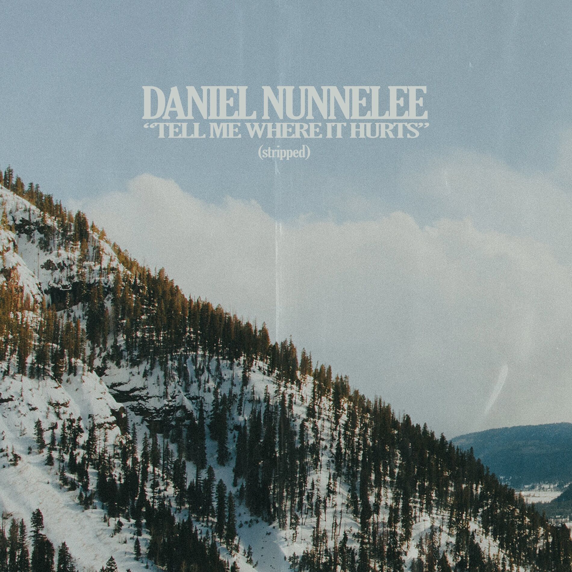Album cover of Oak Trees (Stripped)