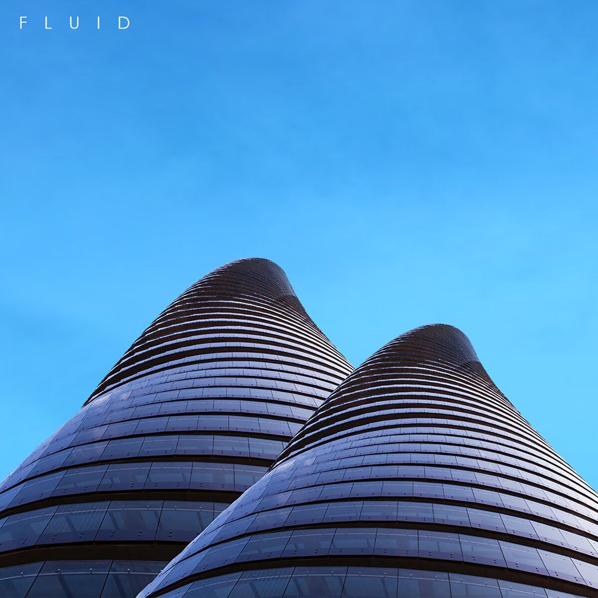 Album cover of Fluid