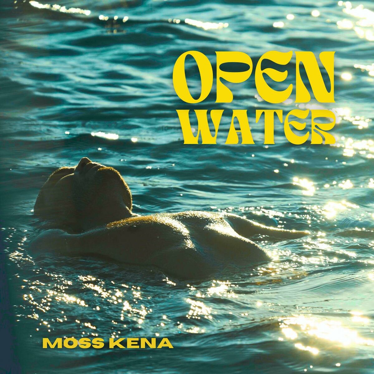 Album cover of Open Water