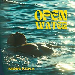 Cover of Open Water