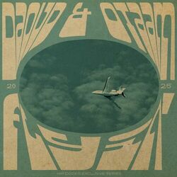 Cover of Flyin'