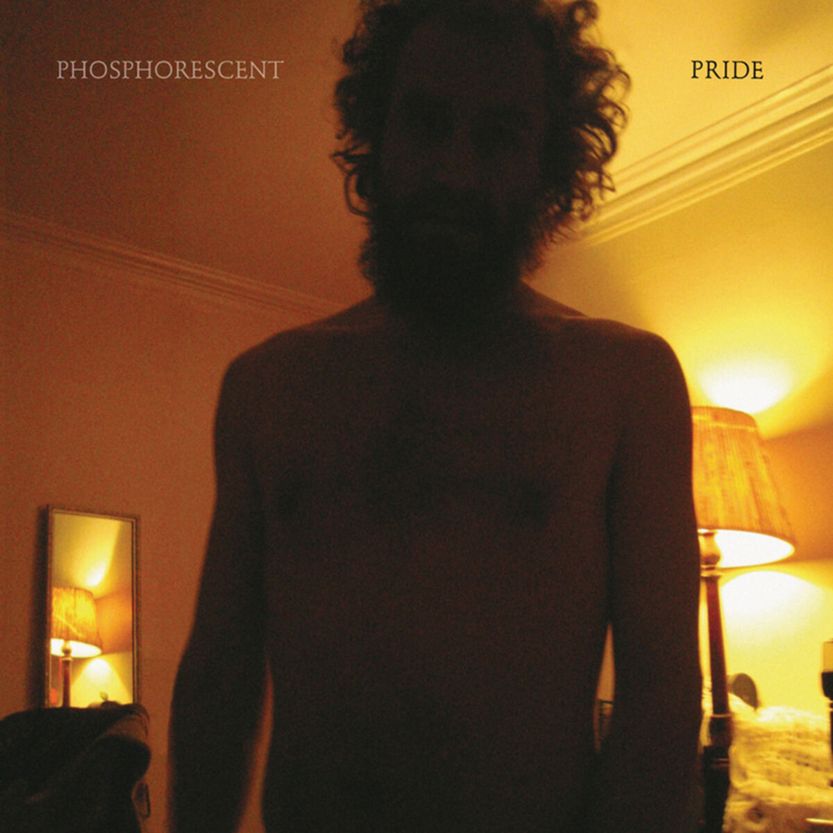 Album cover of Wolves