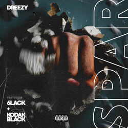 Cover of Spar