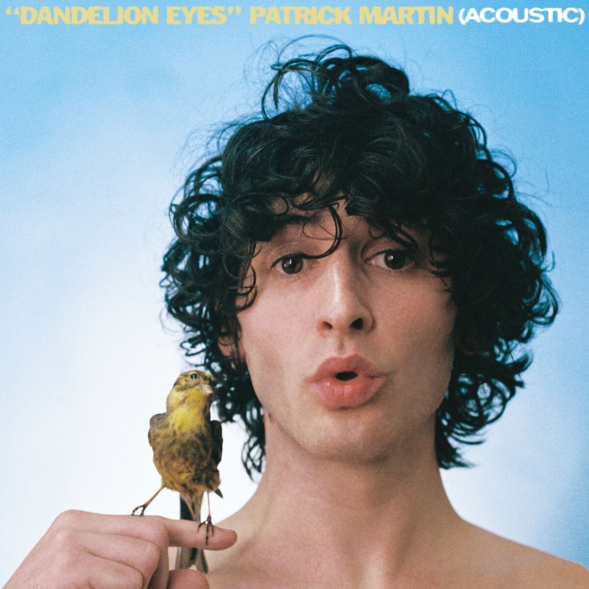 Album cover of Dandelion Eyes (Acoustic)