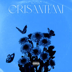 Cover of Crisantemi
