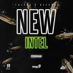 Cover of New Intel