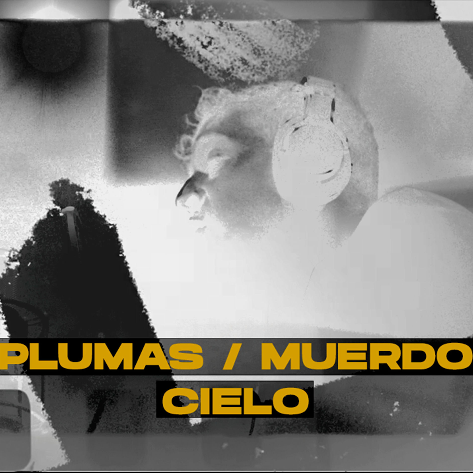 Album cover of Cielo (feat. Muerdo)