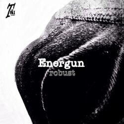 Cover of Robust