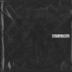 Cover of Ain't No Other (Radio Edit)