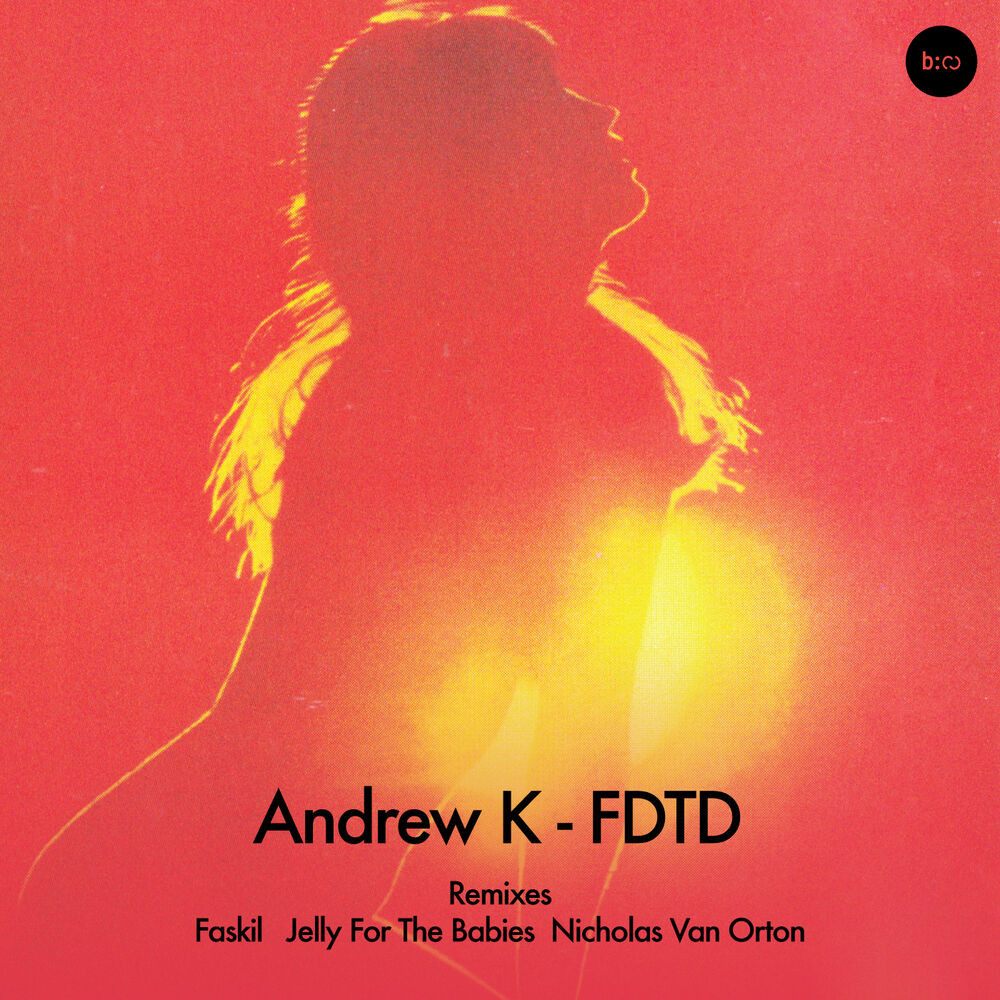 Picture of FDTD
