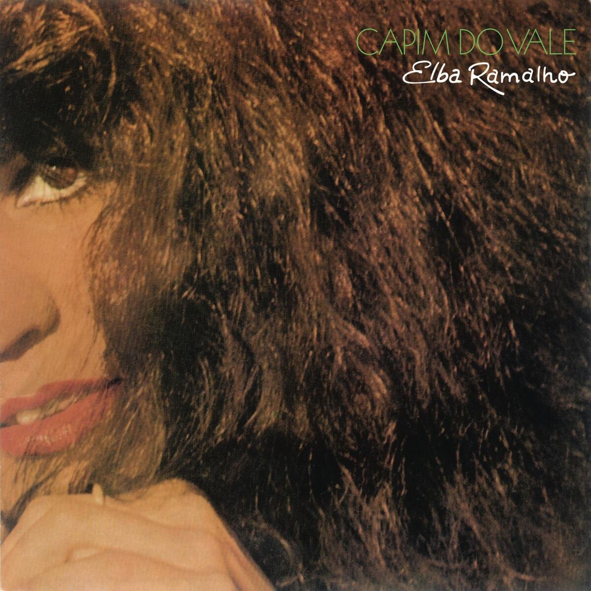 Album cover of Veja (Margarida)