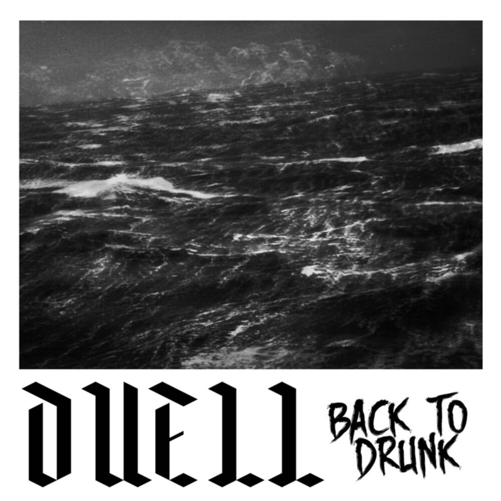 Picture of Back to Drunk