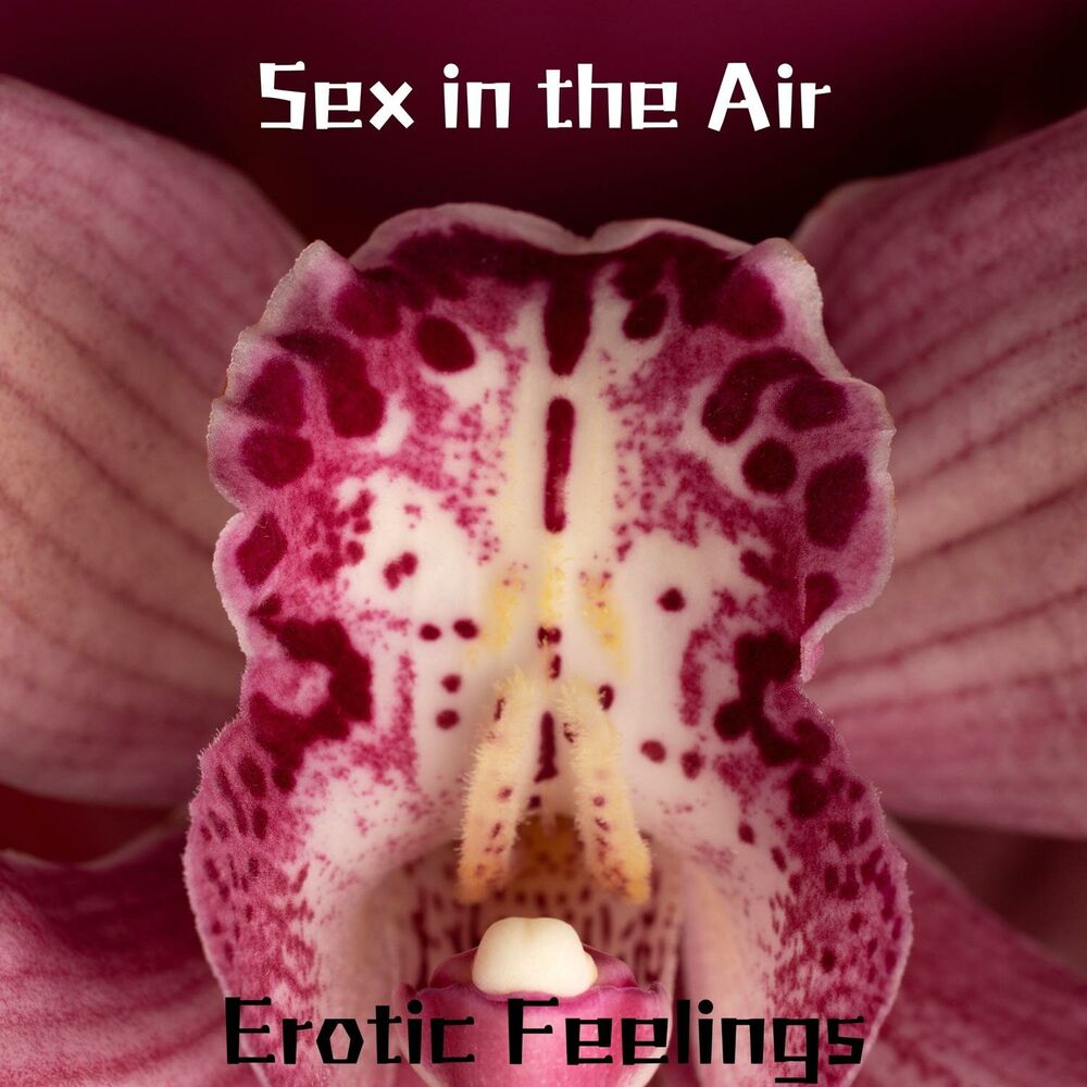 Picture of Sex in the Air: Erotic Feelings