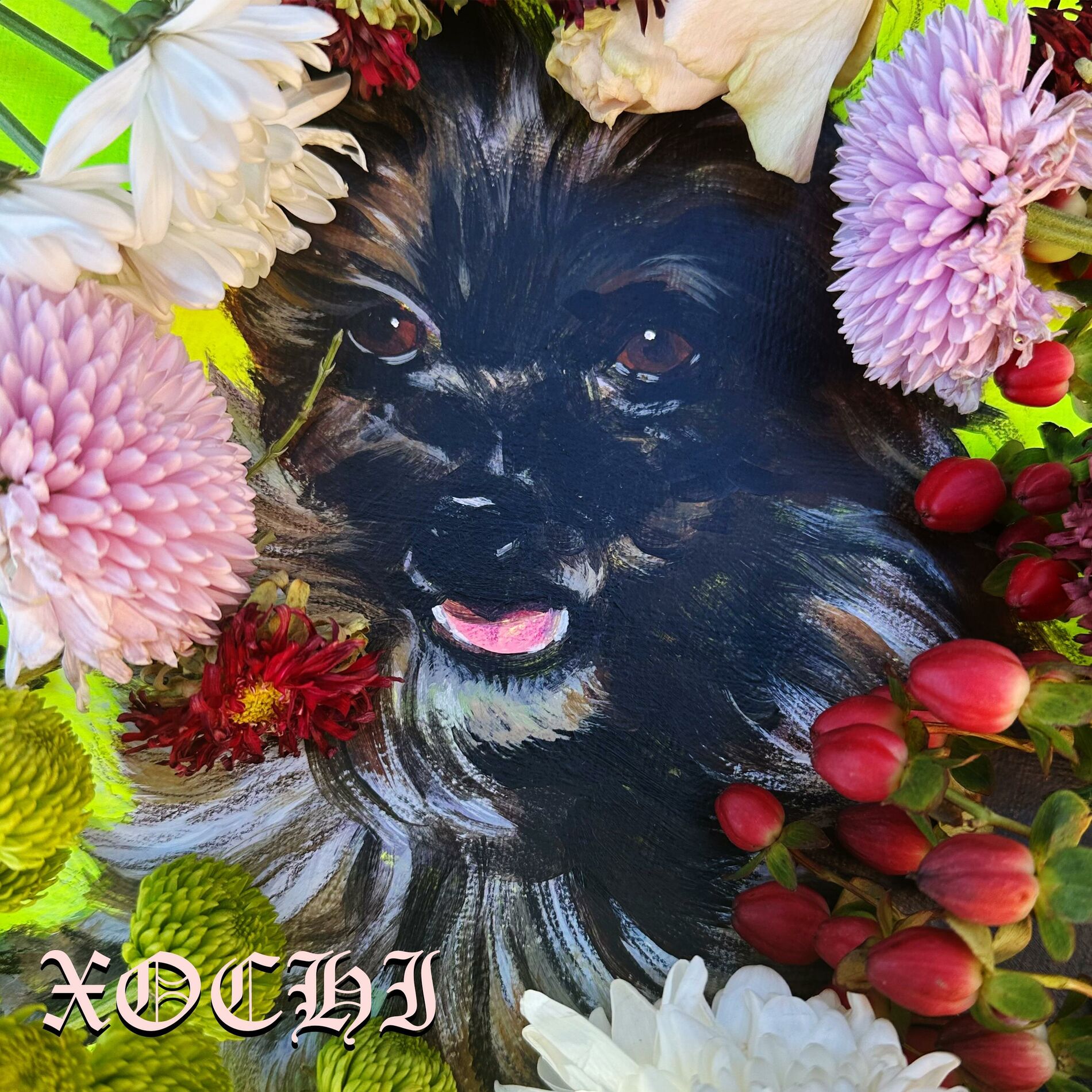 Album cover of Xochi