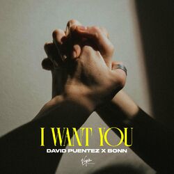Cover of I Want You