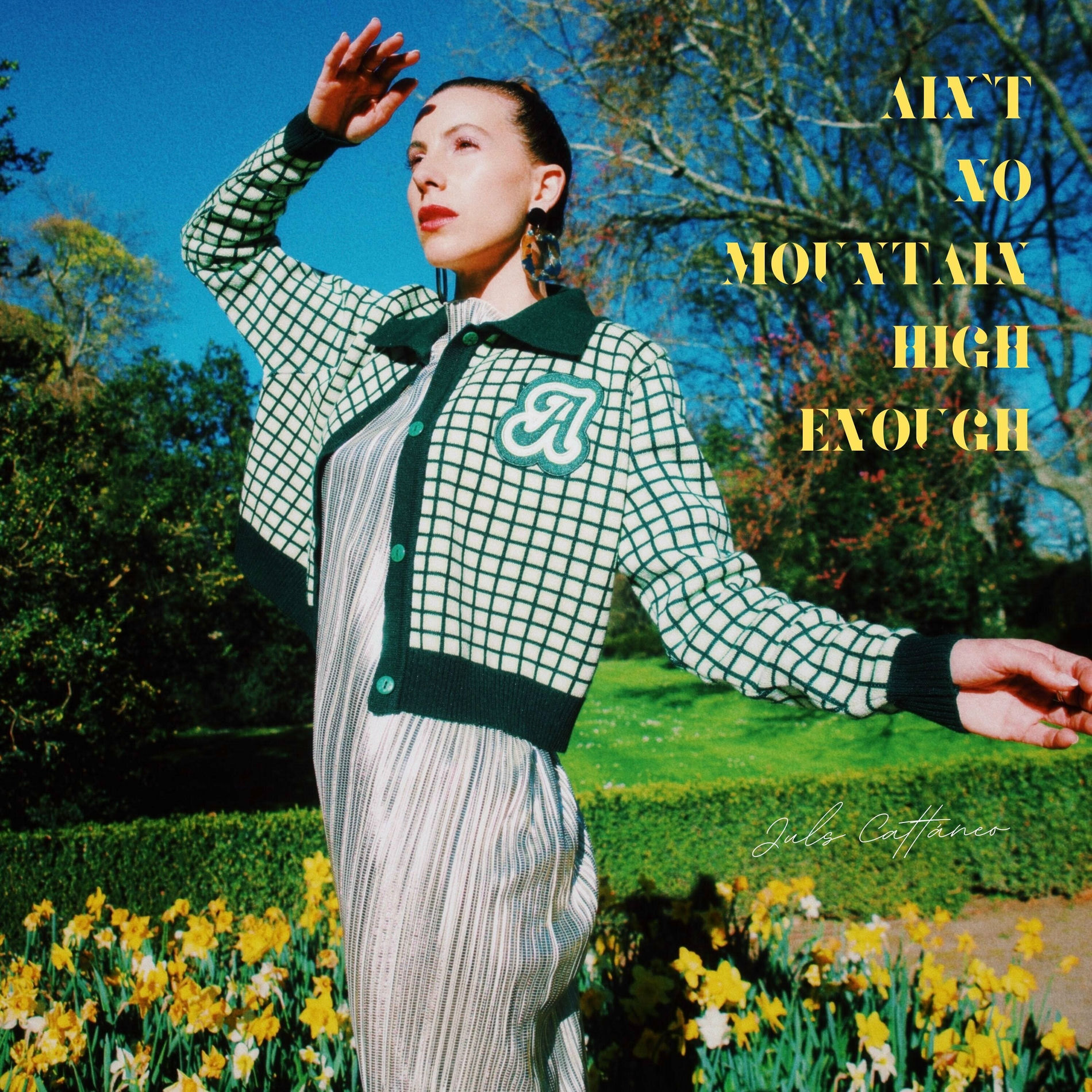 Album cover of Ain't No Mountain High Enough