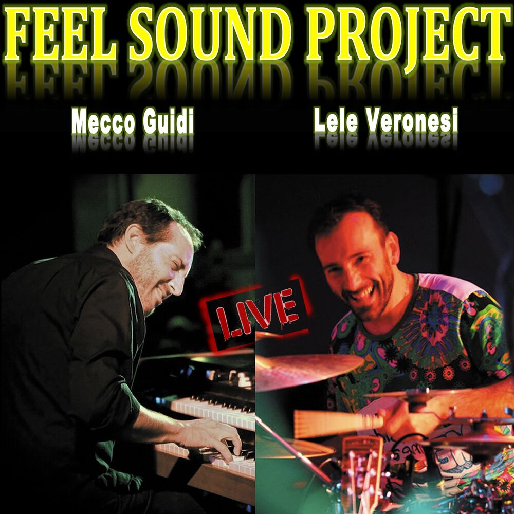 Picture of Feel Sound Project Live