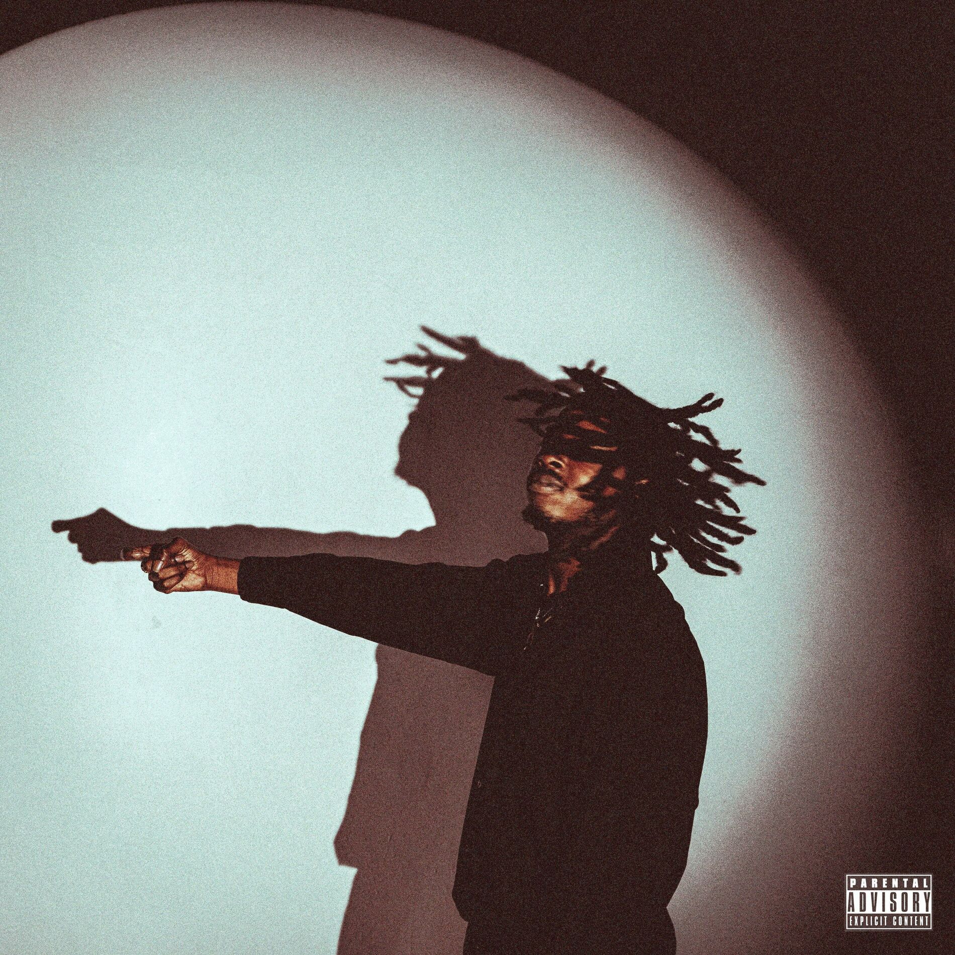 Album cover of Da Naez Show