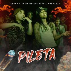 Cover of Pileta