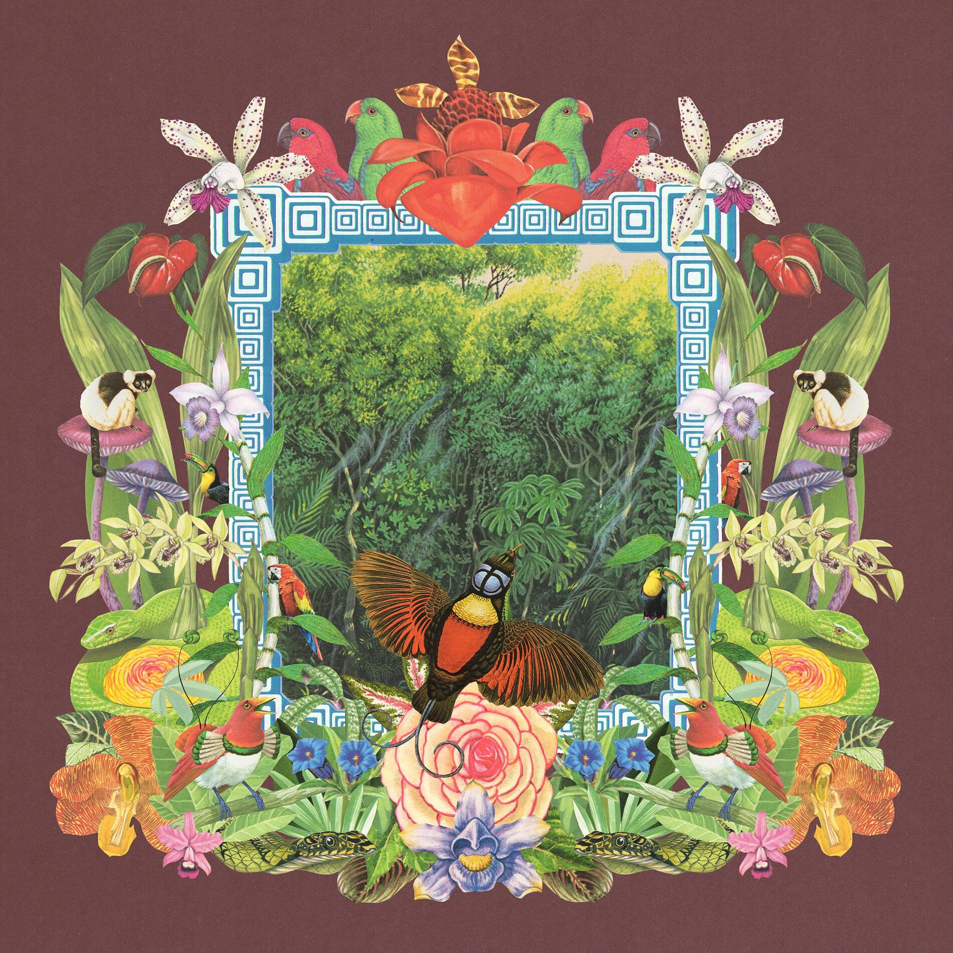 Album cover of Botanica Dream