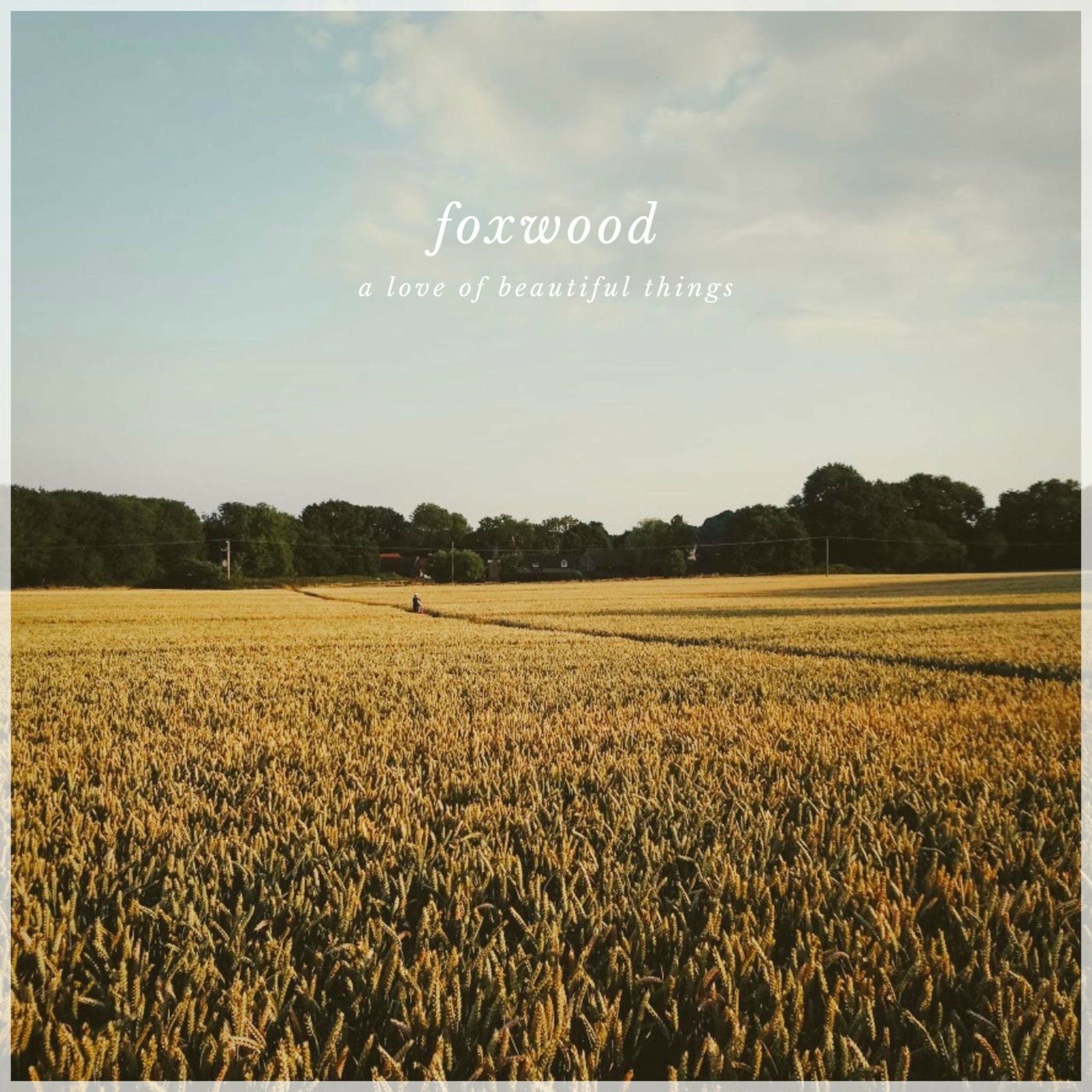 Album cover of A Love of Beautiful Things