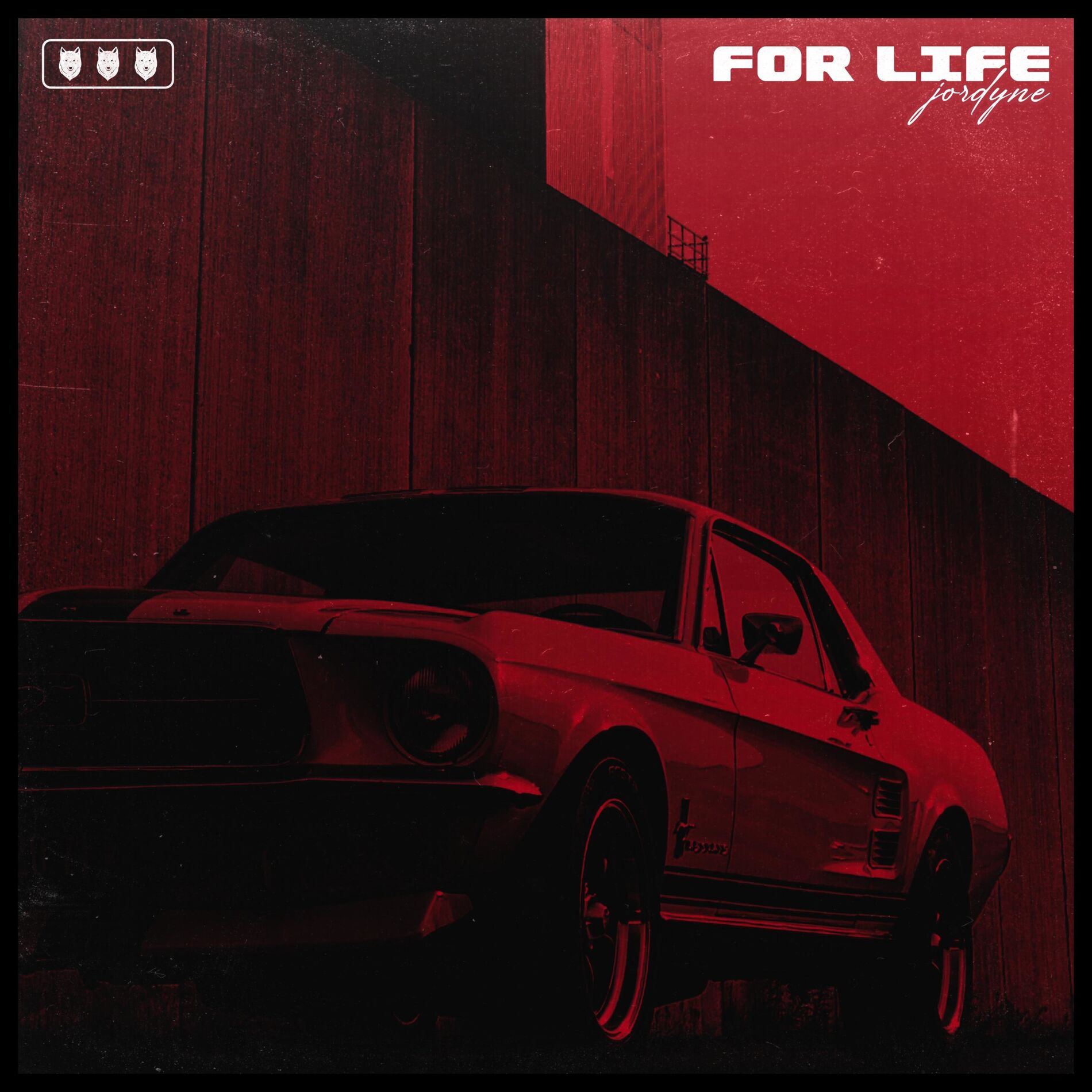 Album cover of For Life