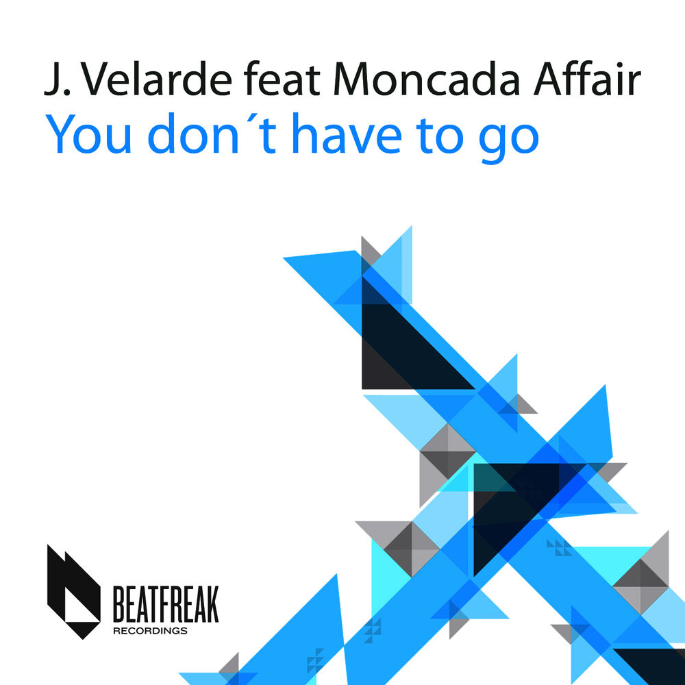 Picture of You Don't Have to Go (feat. Moncada Affair) - Single