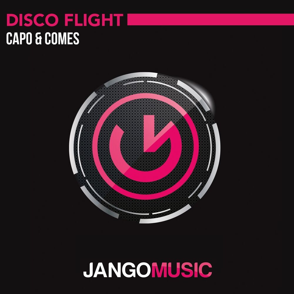 Picture of Disco Flight