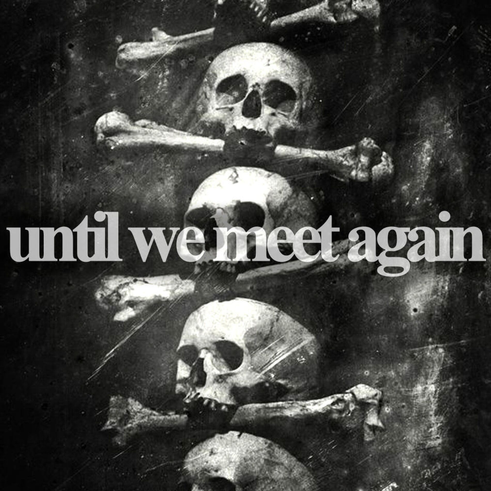Album cover of Until We Meet Again