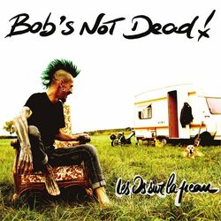 Cover of Les os sur la peau