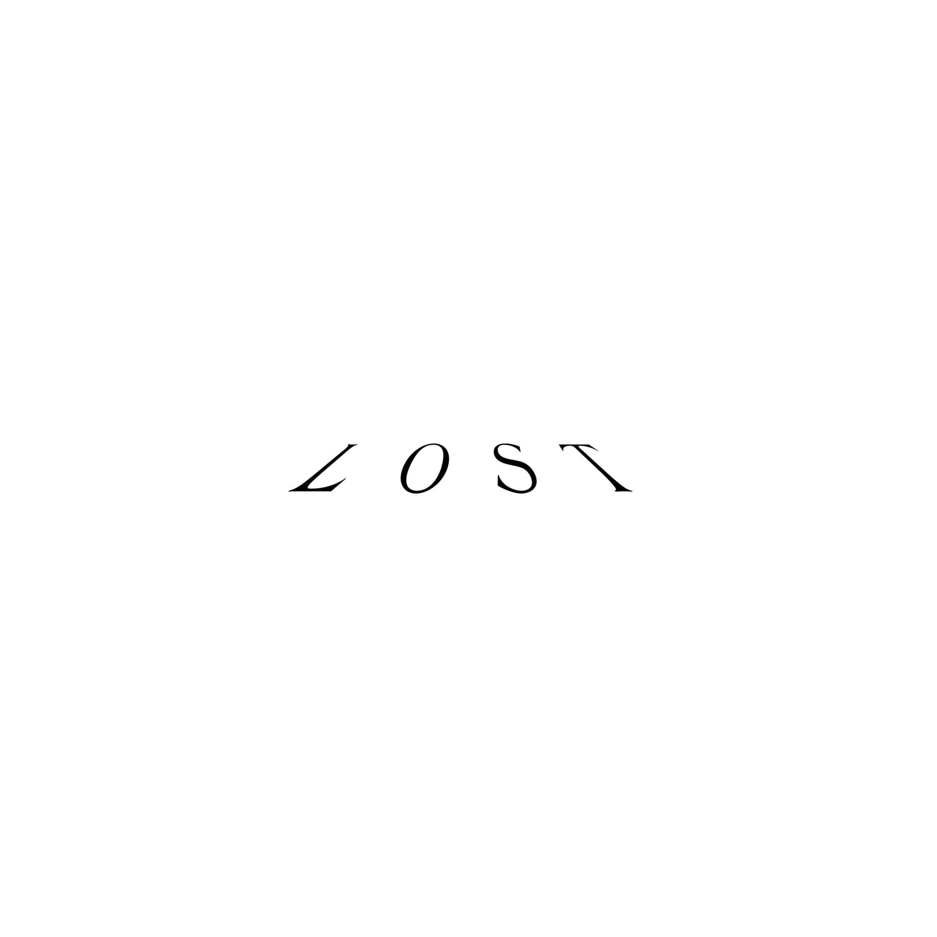 Album cover of Lost