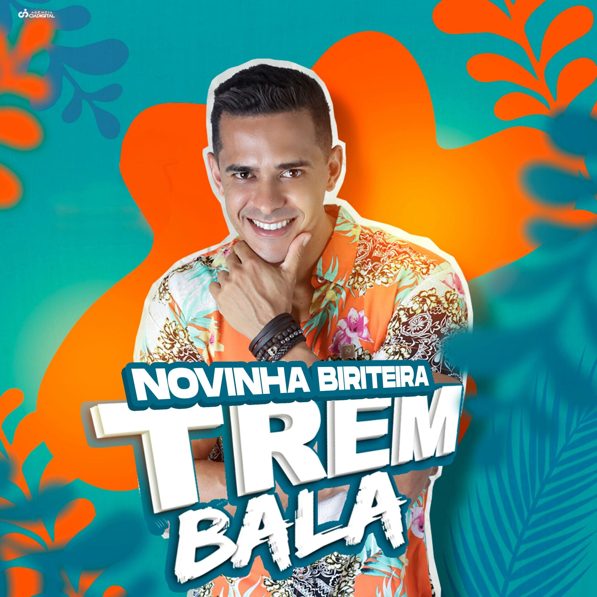 Album cover of Novinha Biriteira