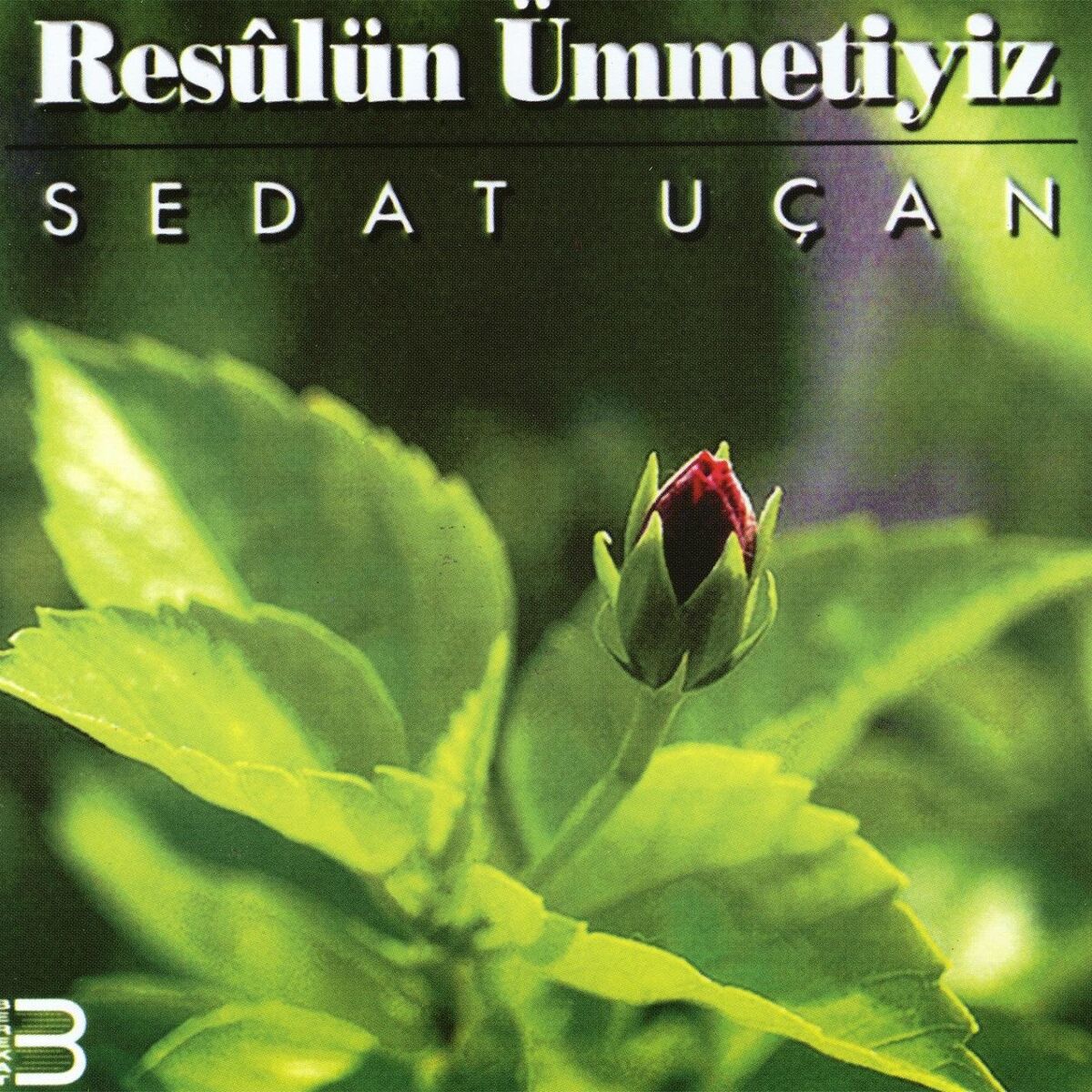 Album cover of Menzil Köyünde