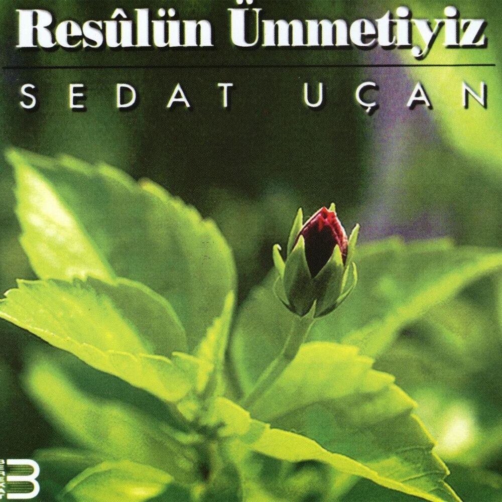 Picture of Resul'ün Ümmetiyiz
