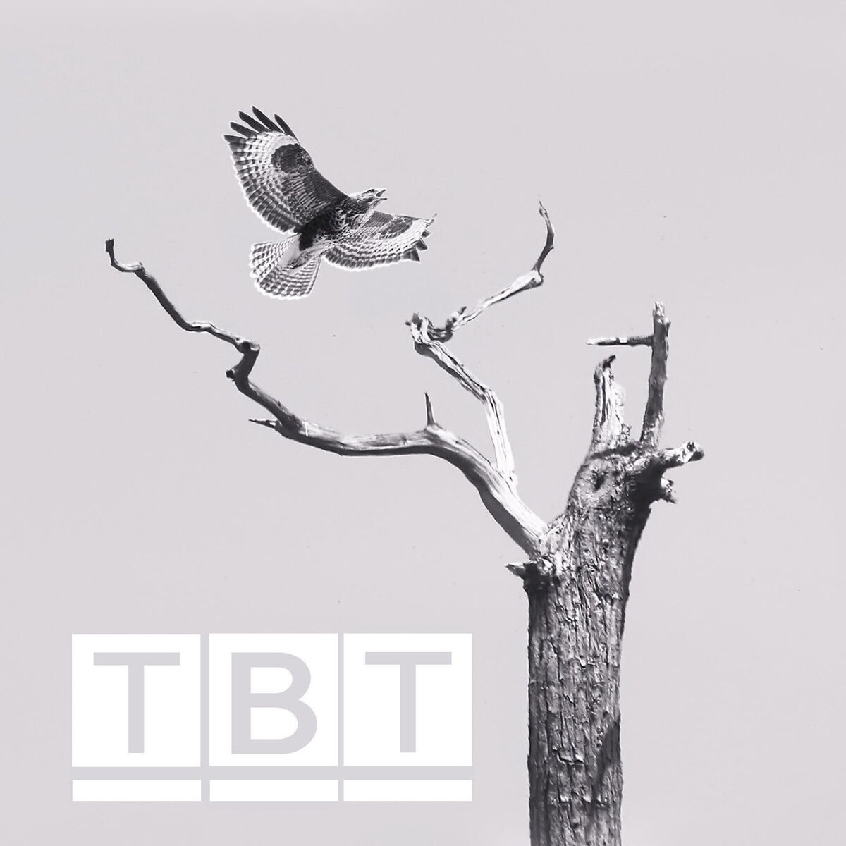 Album cover of Back Again