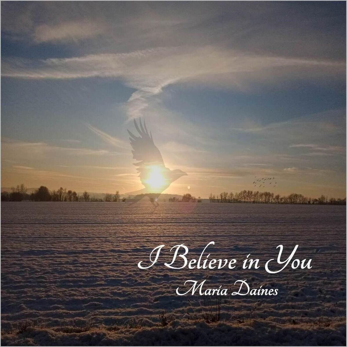 Album cover of I Believe in You