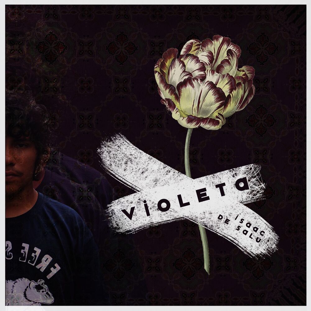 Picture of Violeta