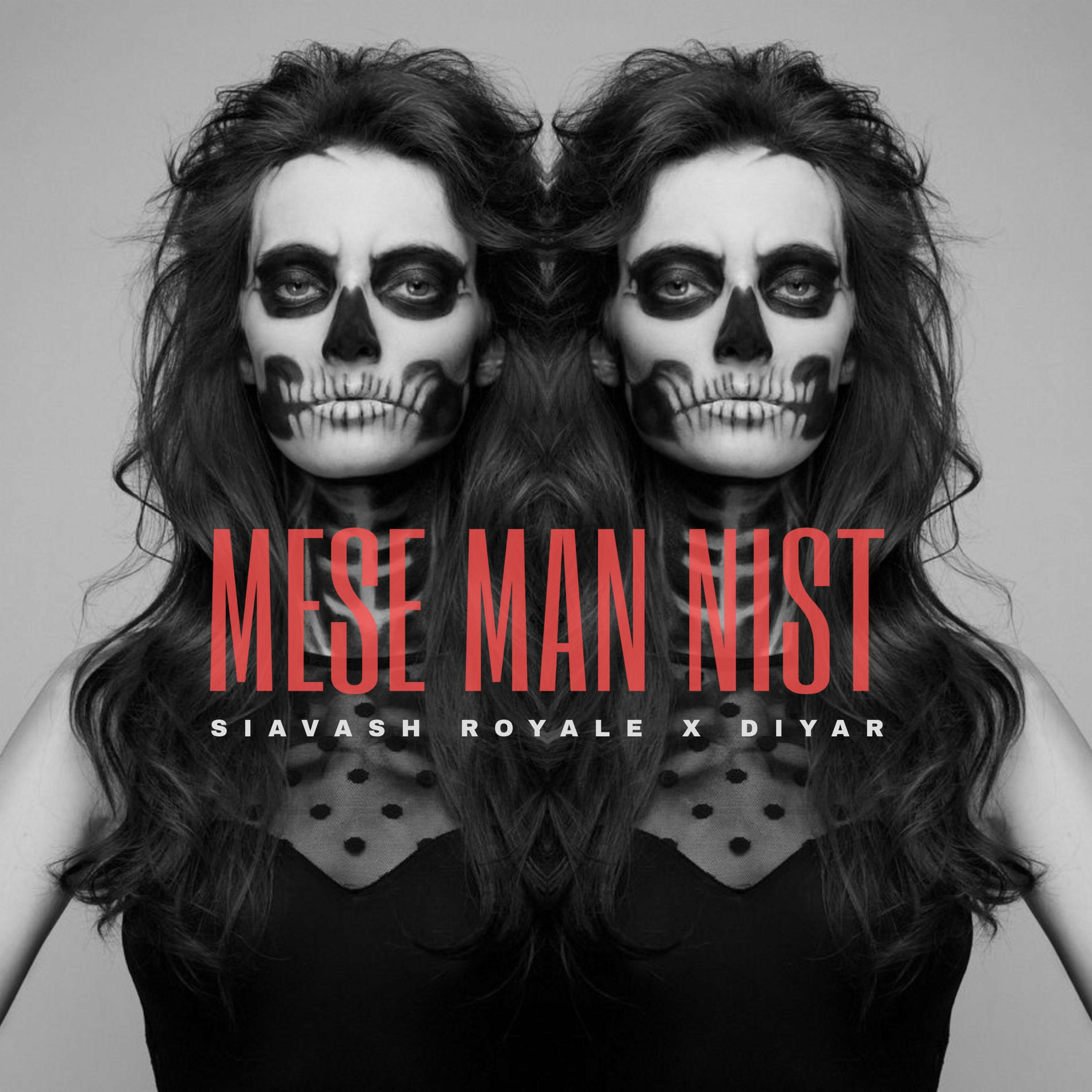 Album cover of Mese Man Nist (feat. Diyar)