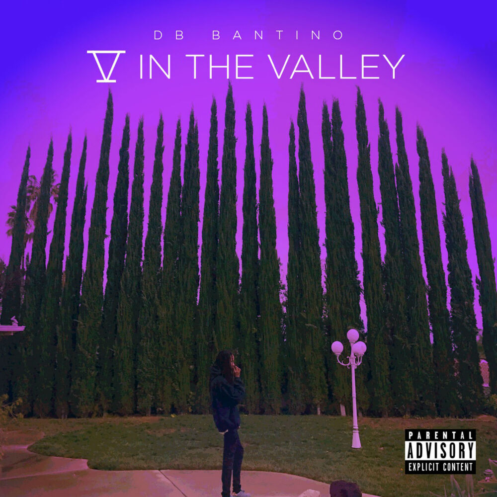 Picture of 5 in the Valley